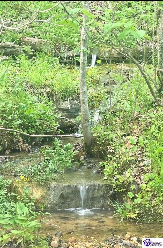 44.8 Acres of Recreational & Residential Land for Sale in Campbellsville, Kentucky