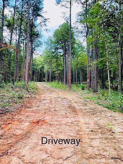 20 Acres of Land for Sale in Thaxton, Mississippi