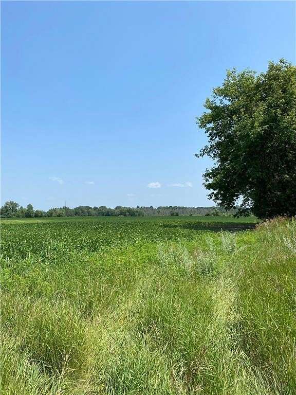 37.7 Acres of Agricultural Land for Sale in Stanchfield Township, Minnesota