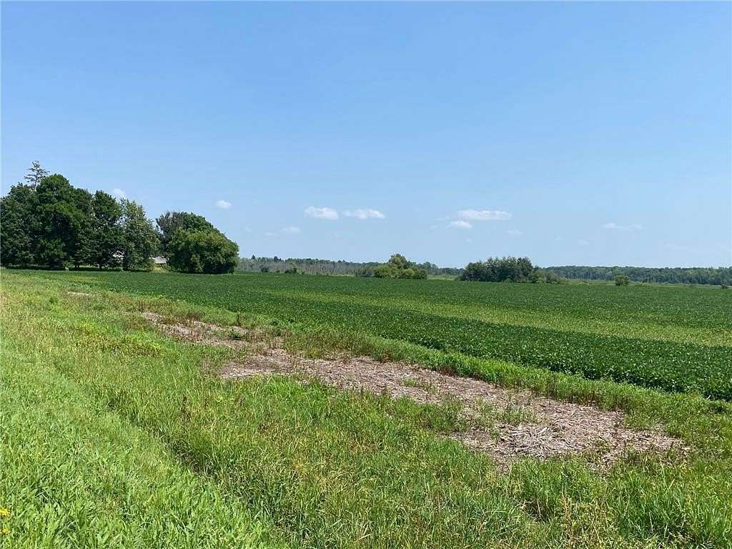 38.8 Acres of Agricultural Land for Sale in Stanchfield Township, Minnesota