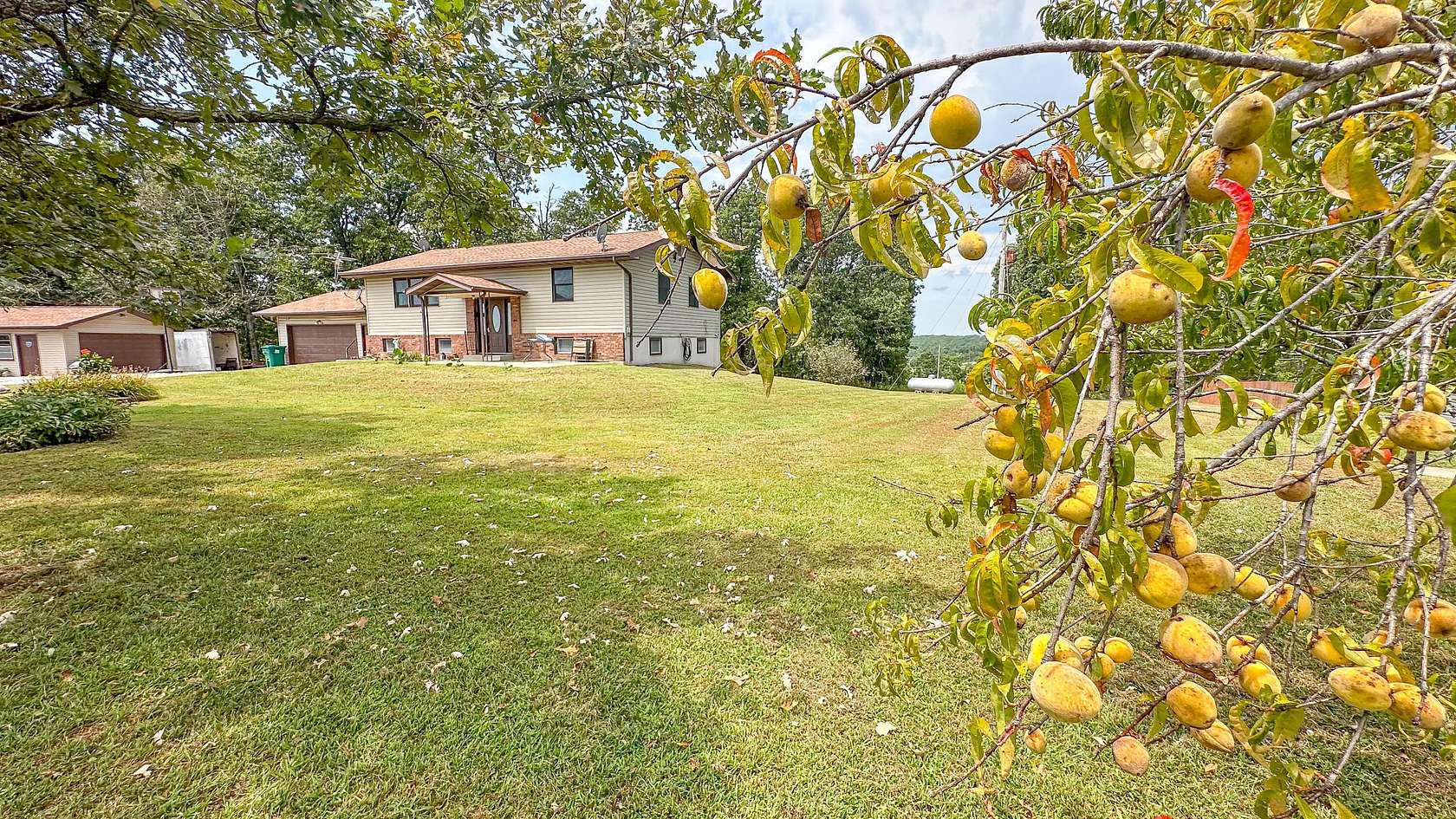 13.9 Acres of Land with Home for Sale in Mountain Grove, Missouri