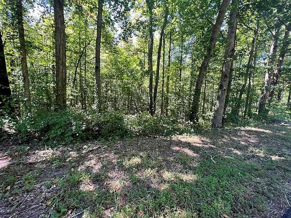 5.62 Acres of Residential Land for Sale in Temple, Georgia
