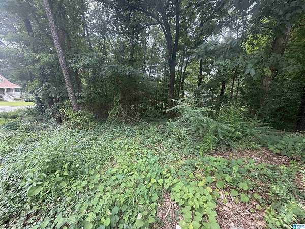 0.44 Acres of Residential Land for Sale in Center Point, Alabama