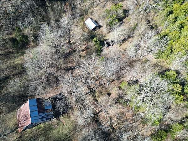 81.3 Acres of Land for Sale in Jasper, Arkansas