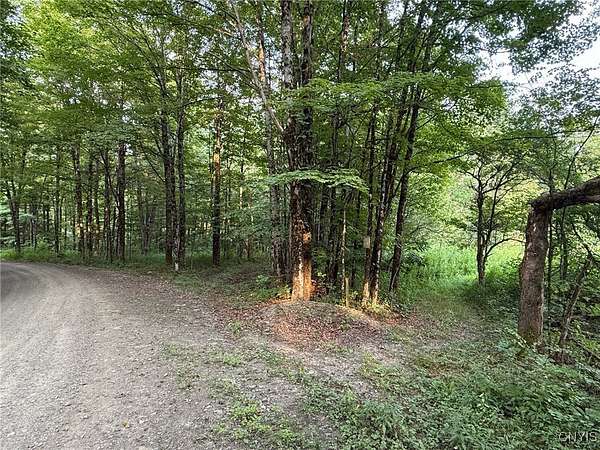 75 Acres of Recreational Land for Sale in Cincinnatus, New York