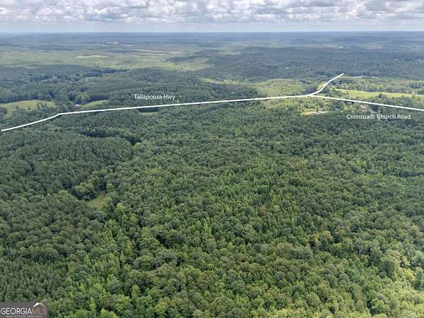 140 Acres of Recreational Land for Sale in Buchanan, Georgia