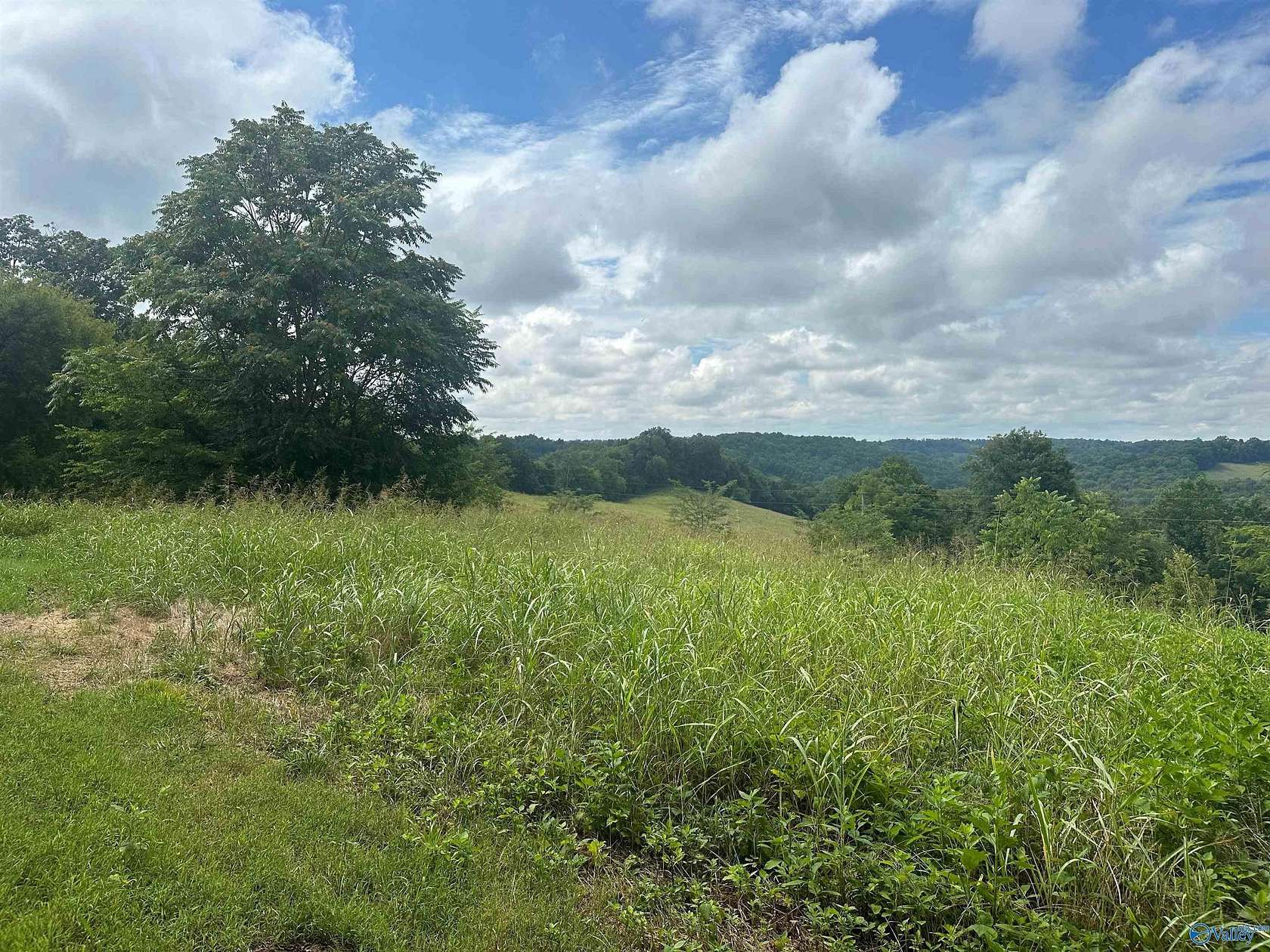 5.24 Acres of Residential Land for Sale in Belvidere, Tennessee