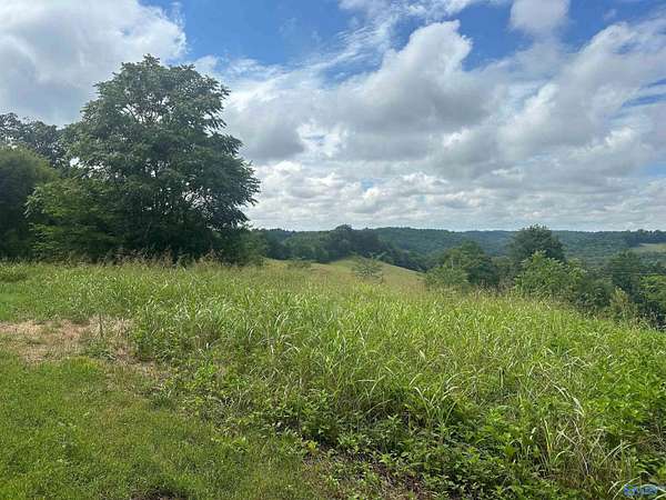 5.24 Acres of Residential Land for Sale in Belvidere, Tennessee