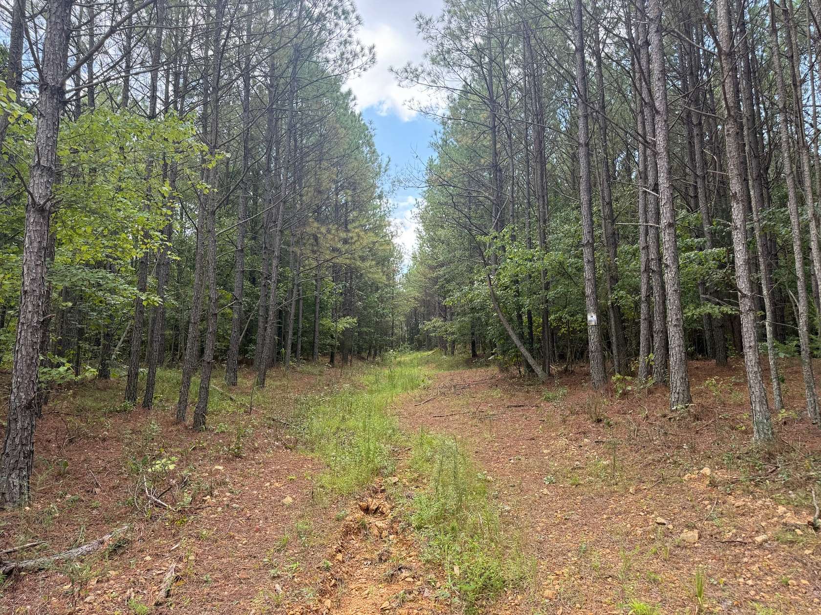 16.5 Acres of Land for Sale in Hohenwald, Tennessee