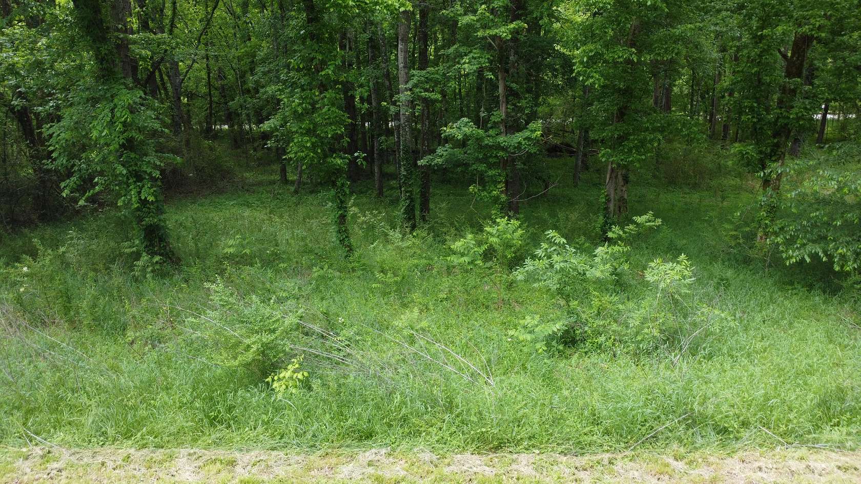 0.98 Acres of Residential Land for Sale in Hollow Rock, Tennessee