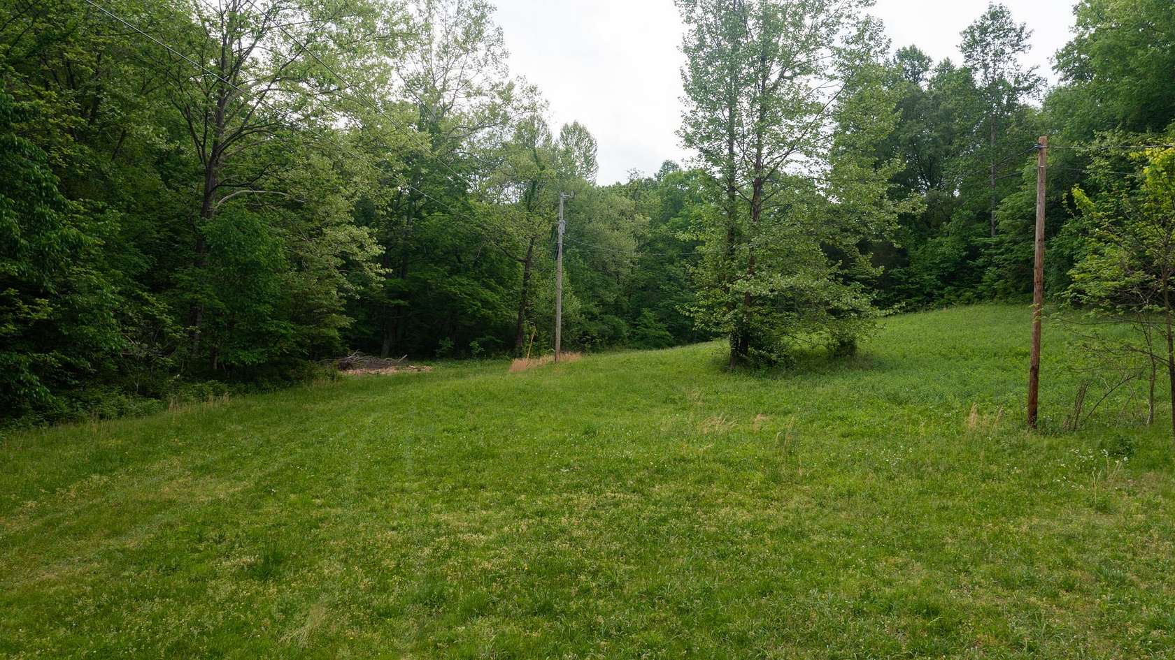 94 Acres of Land for Sale in Erin, Tennessee