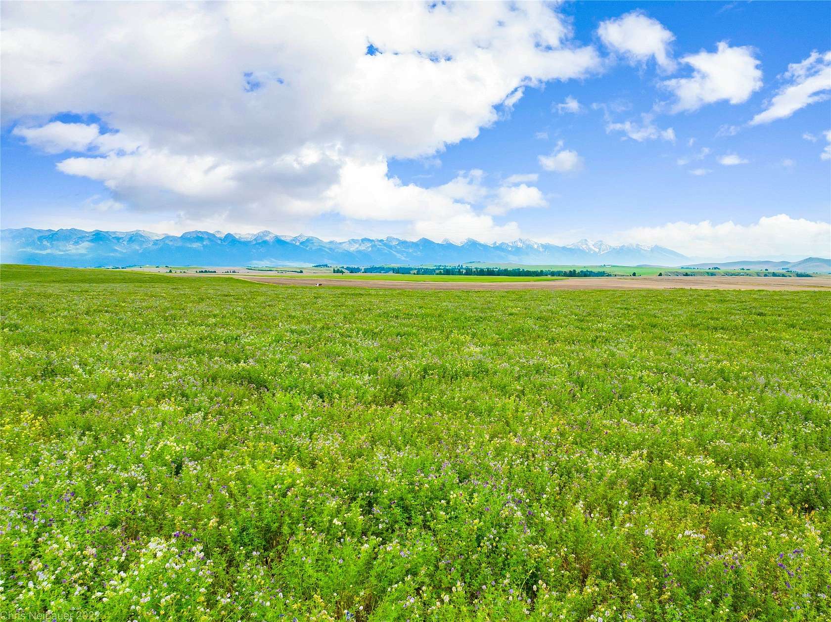20.2 Acres of Recreational Land & Farm for Sale in Polson, Montana