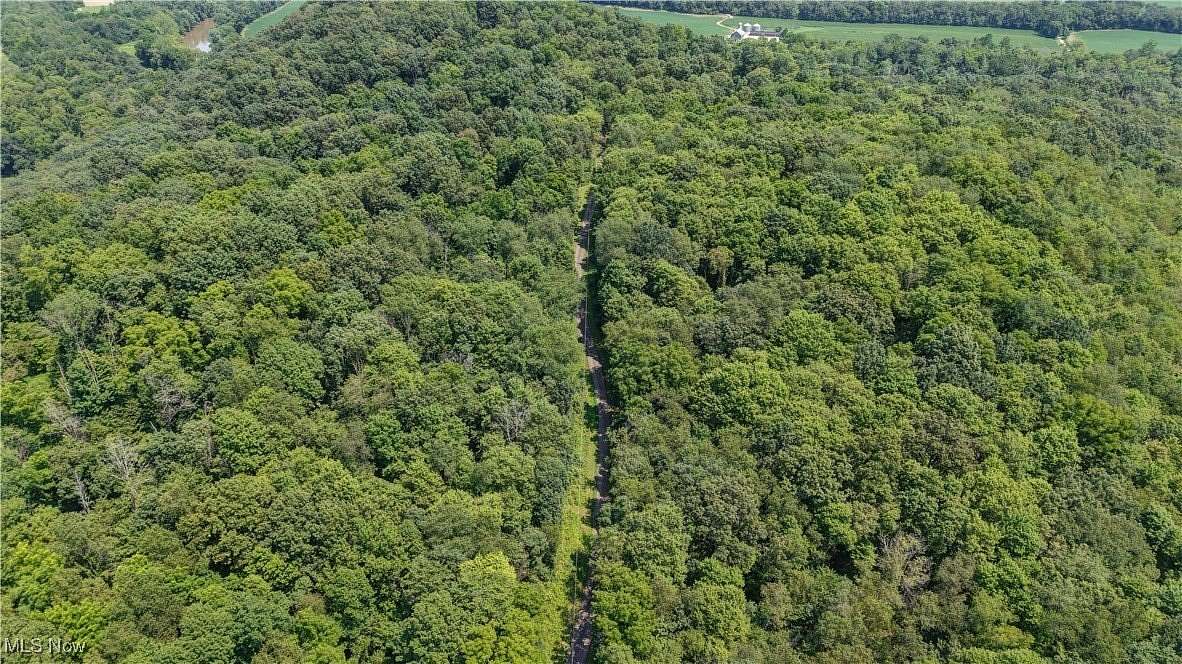 15 Acres of Recreational Land for Auction in Danville, Ohio