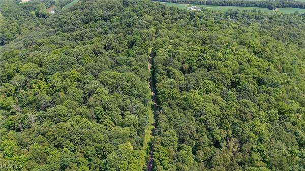 15 Acres of Recreational Land for Auction in Danville, Ohio