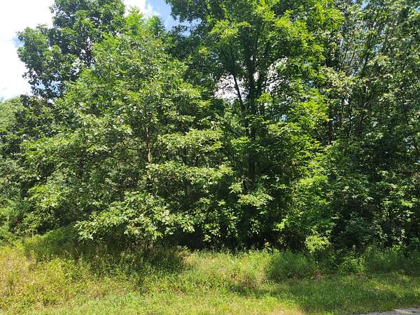19.2 Acres of Land for Sale in Lowell, Michigan