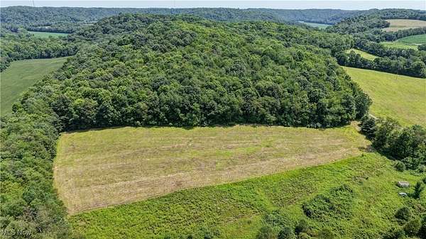 21 Acres of Recreational Land for Auction in Danville, Ohio