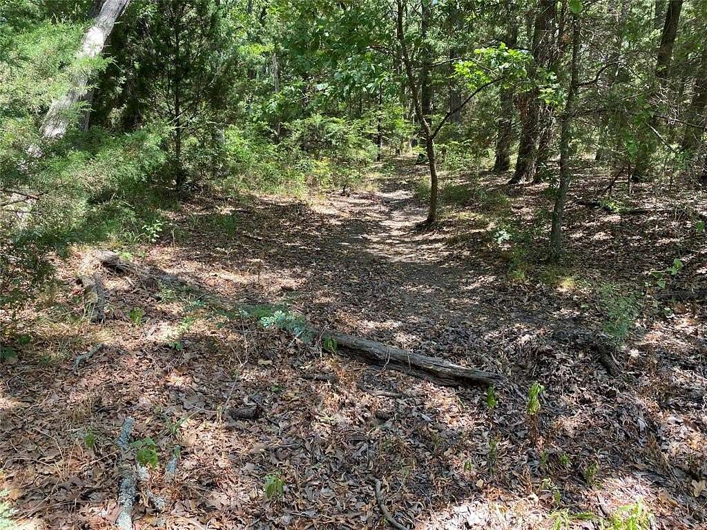 58.8 Acres of Agricultural Land for Sale in Como, Texas