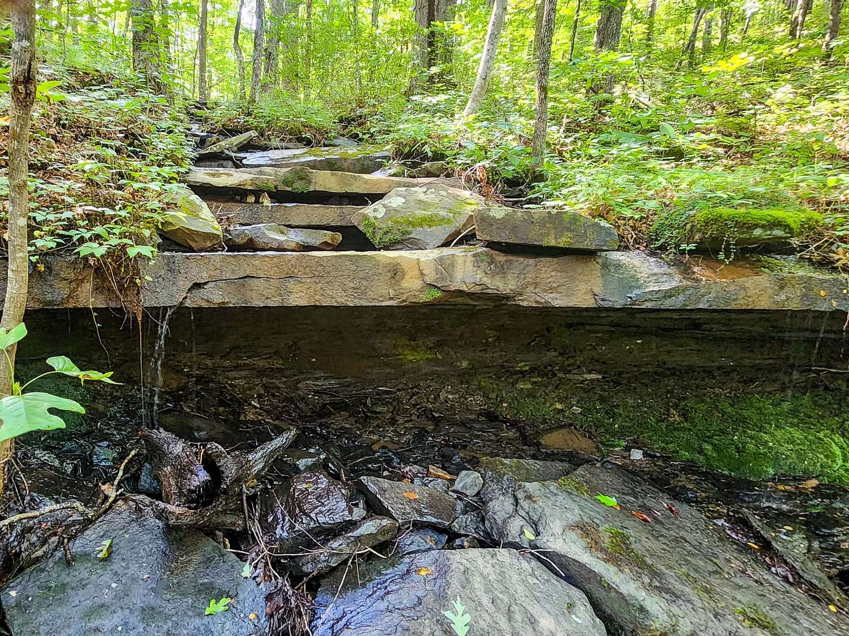 3 Acres of Land for Sale in Helenwood, Tennessee