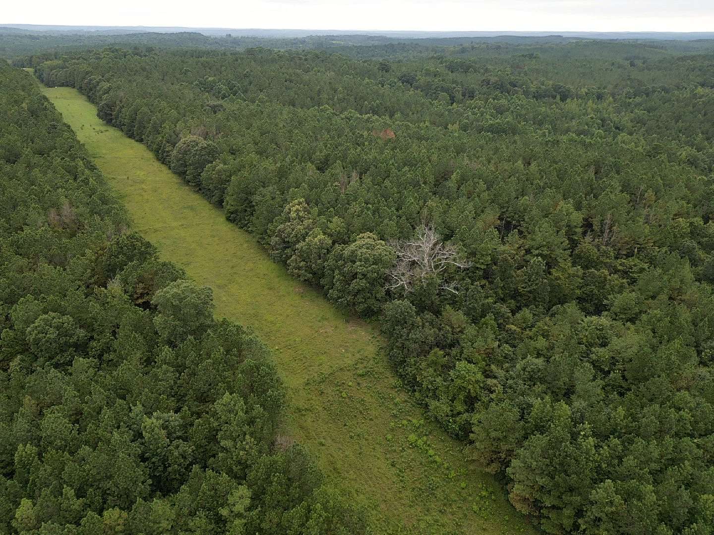 265 Acres of Recreational Land for Sale in Gordo, Alabama