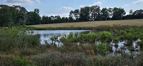 27.5 Acres of Recreational Land & Farm for Sale in Quitman, Arkansas