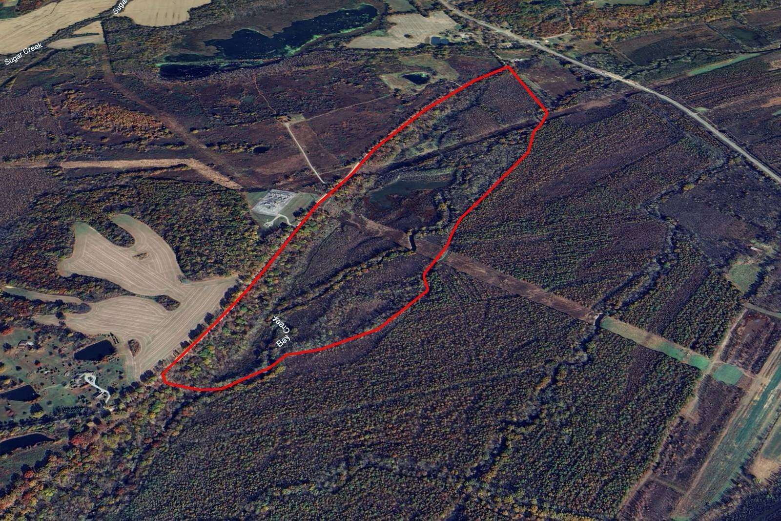 100 Acres of Land for Auction in Renshaw, Illinois