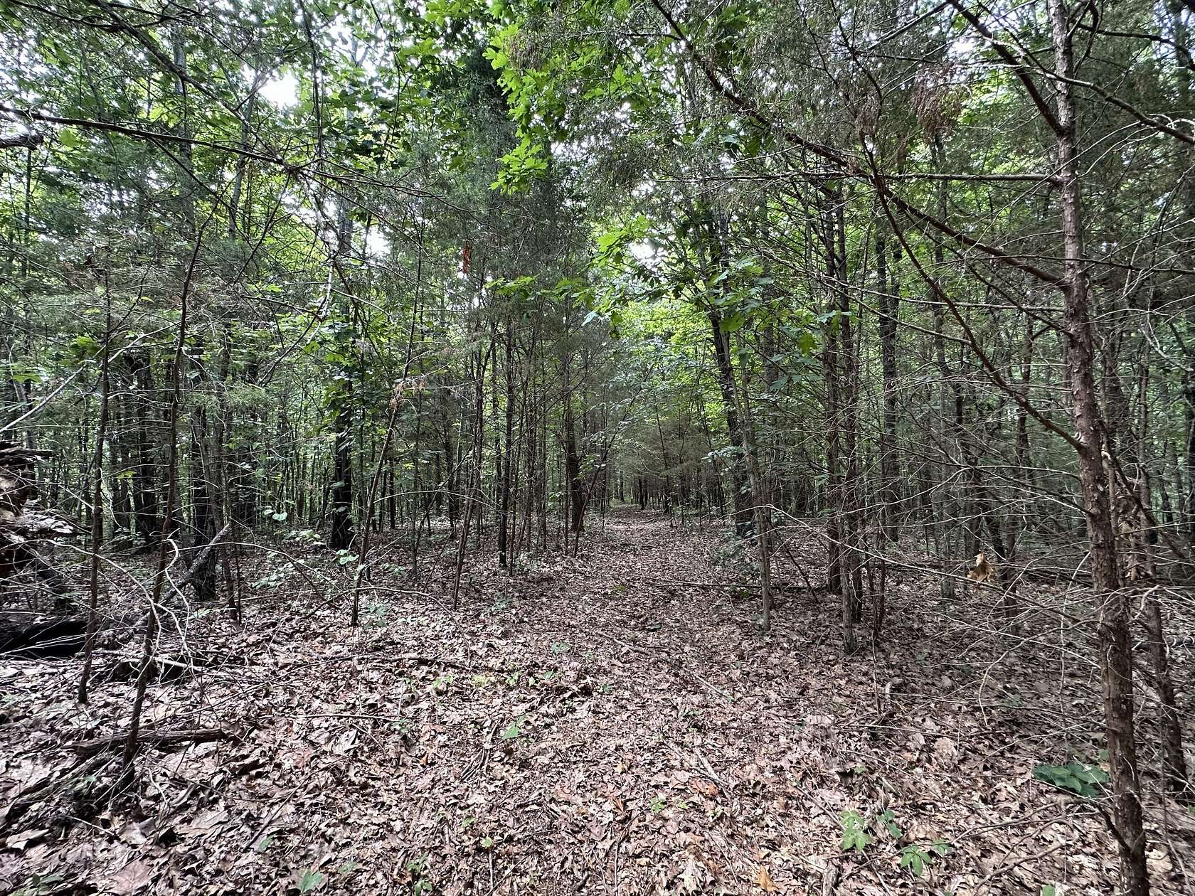 11.3 Acres of Recreational Land for Sale in Ashland City, Tennessee