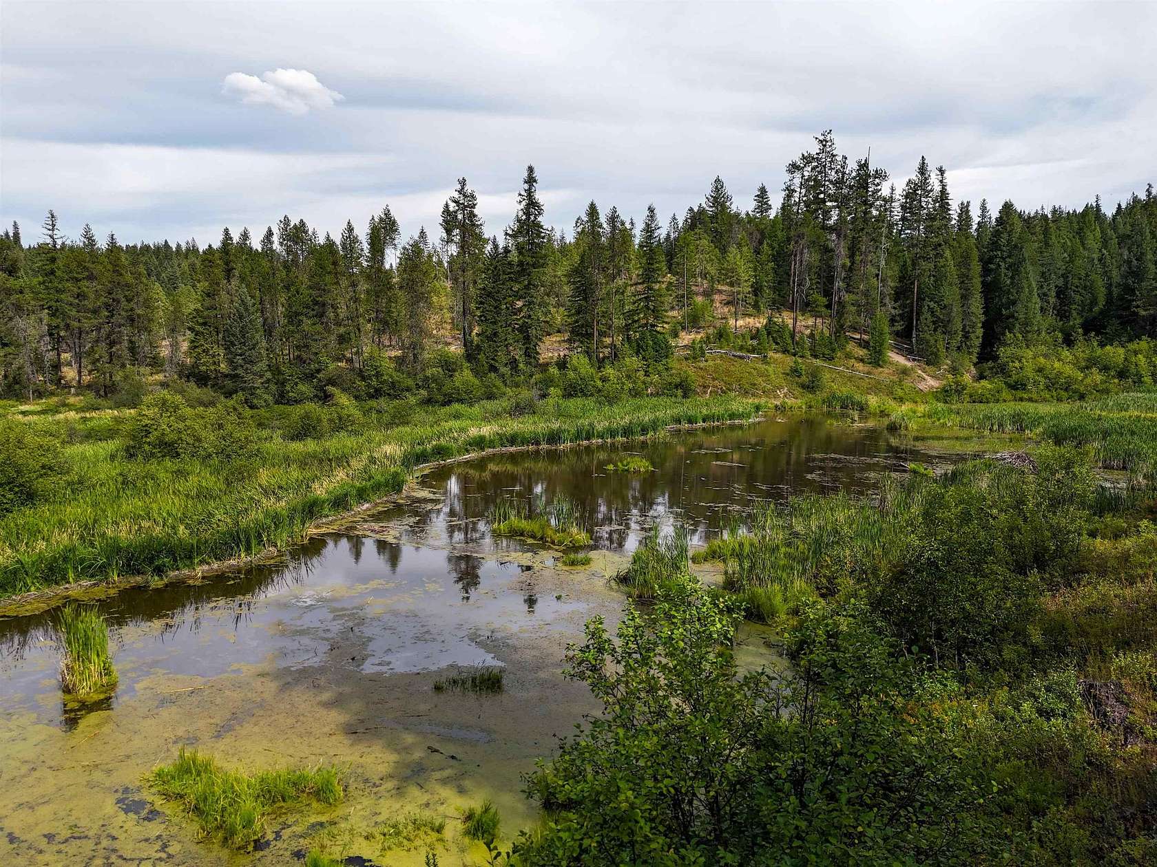 628 Acres of Land for Sale in Springdale, Washington