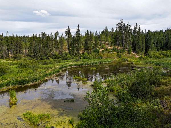 628 Acres of Land for Sale in Springdale, Washington