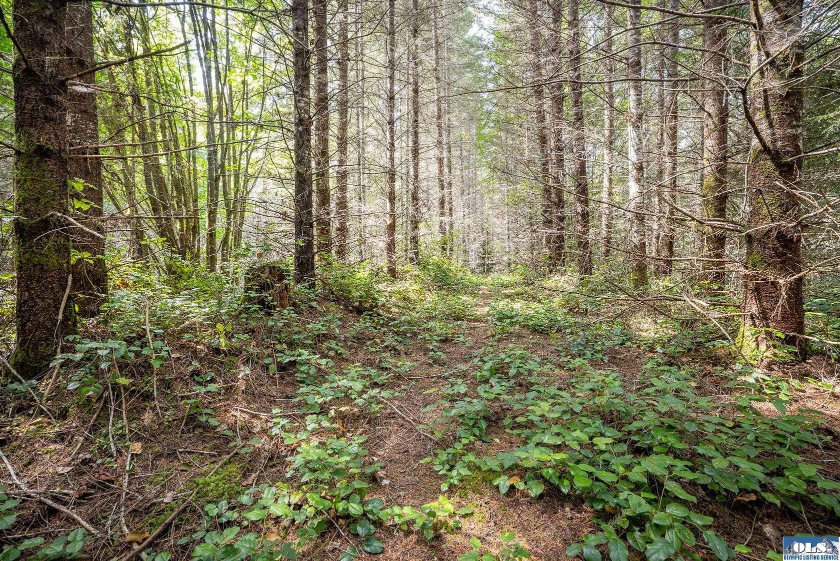 5 Acres of Residential Land for Sale in Port Angeles, Washington