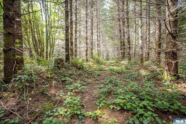 5 Acres of Residential Land for Sale in Port Angeles, Washington