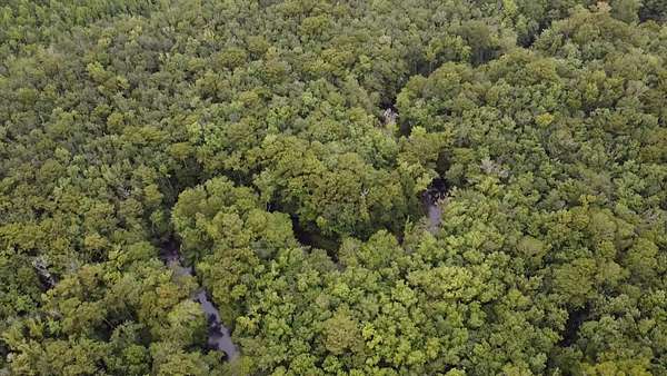 188 Acres of Recreational Land for Sale in Springfield, South Carolina