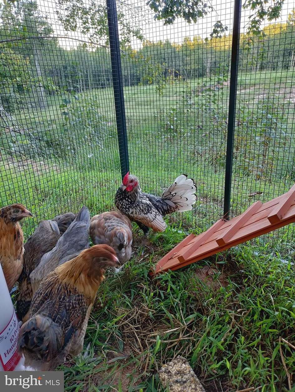 21.5 Acres of Recreational Land for Sale in Green Bay, Virginia