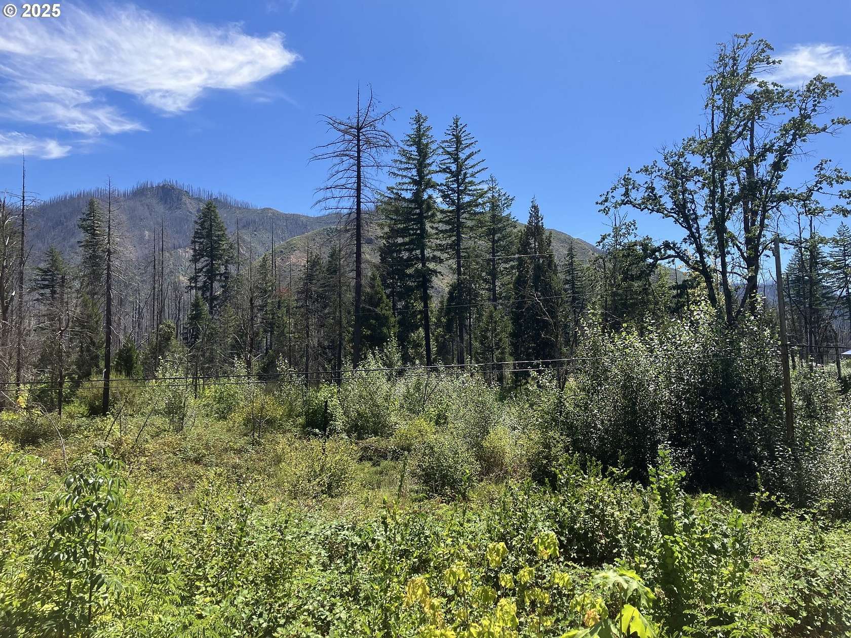 4.25 Acres of Residential Land for Sale in Blue River, Oregon