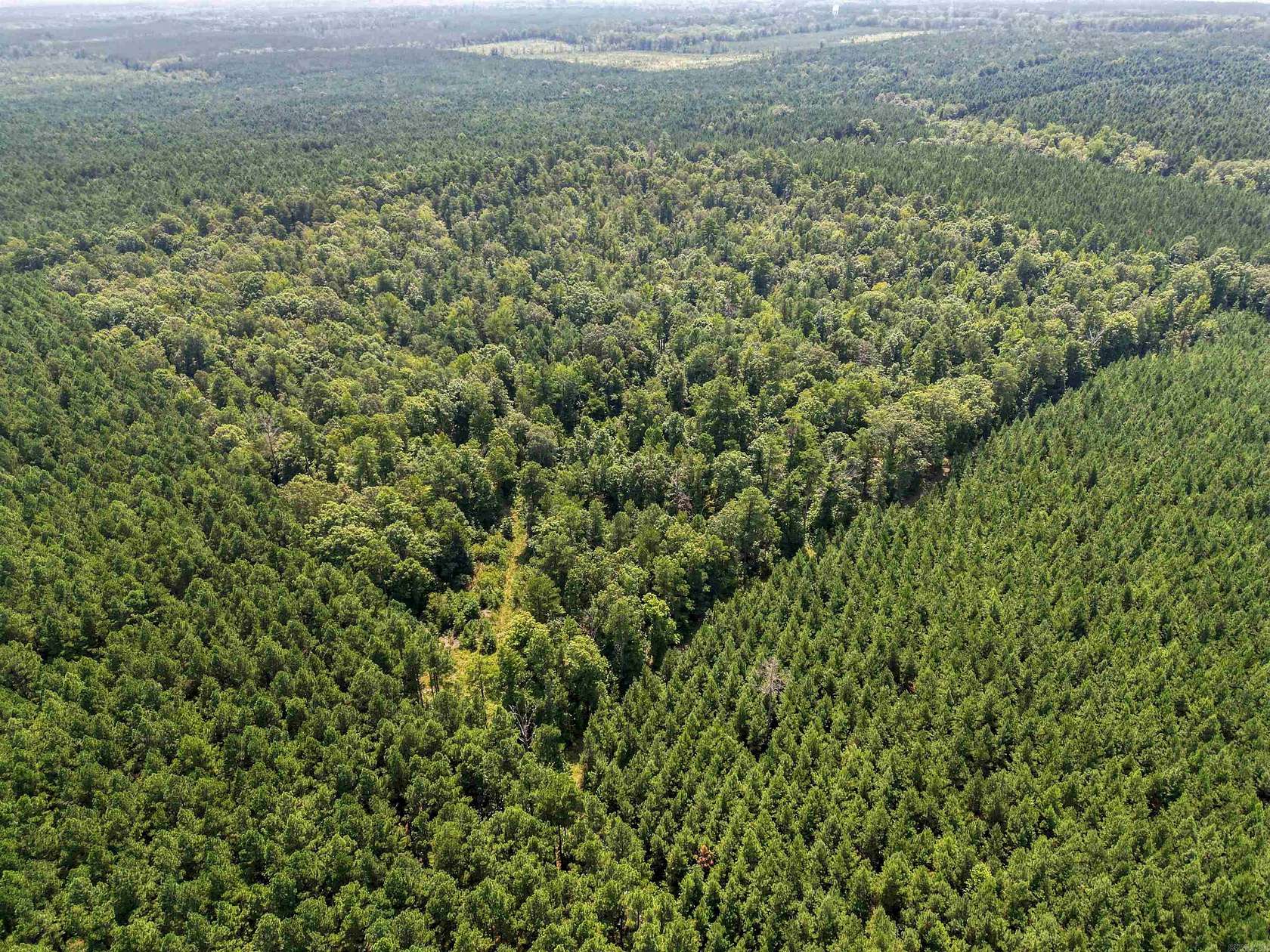 40 Acres of Recreational Land for Sale in Sheridan, Arkansas