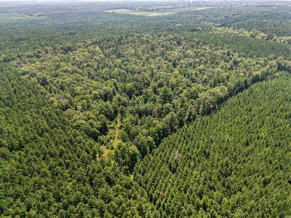 40 Acres of Recreational Land for Sale in Sheridan, Arkansas