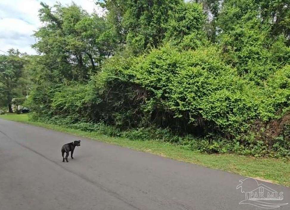 1 Acre of Residential Land for Sale in McDavid, Florida