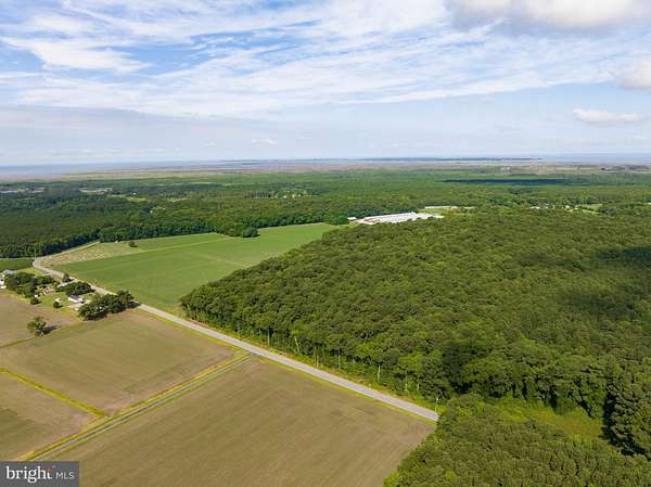 93 Acres of Agricultural Land for Sale in Princess Anne, Maryland
