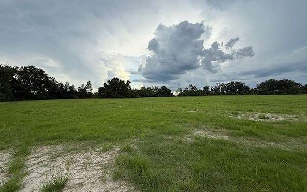 64 Acres of Agricultural Land for Sale in Lake City, Florida