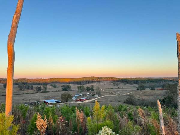 5 Acres of Land for Sale in Winfield, Alabama