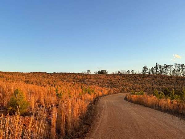 12.5 Acres of Land for Sale in Winfield, Alabama