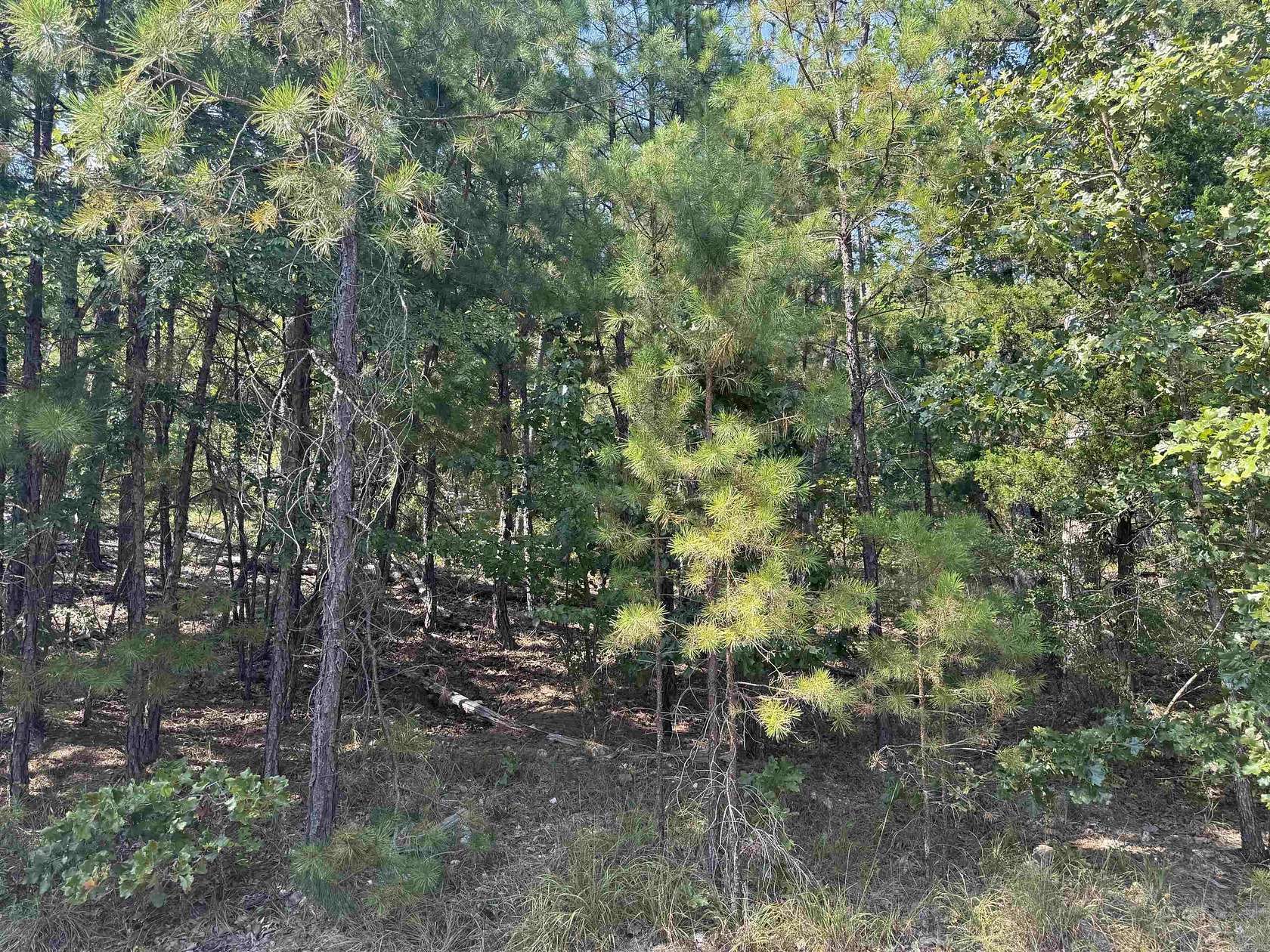 0.26 Acres of Residential Land for Sale in Hot Springs Village, Arkansas