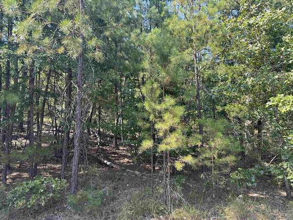 0.26 Acres of Residential Land for Sale in Hot Springs Village, Arkansas
