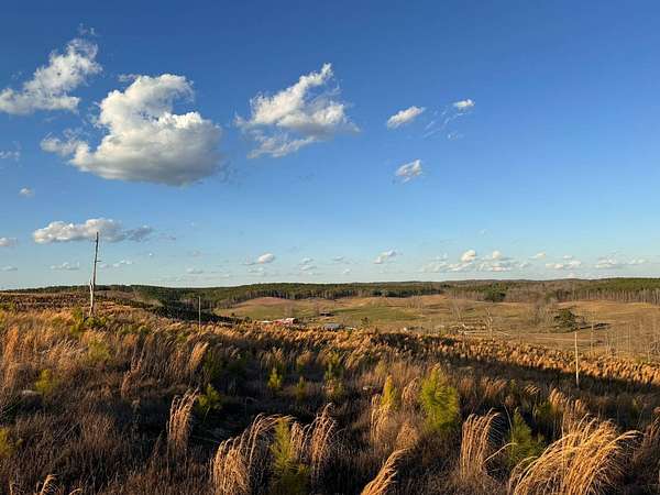 18.5 Acres of Land for Sale in Winfield, Alabama