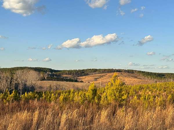 21 Acres of Recreational Land for Sale in Winfield, Alabama
