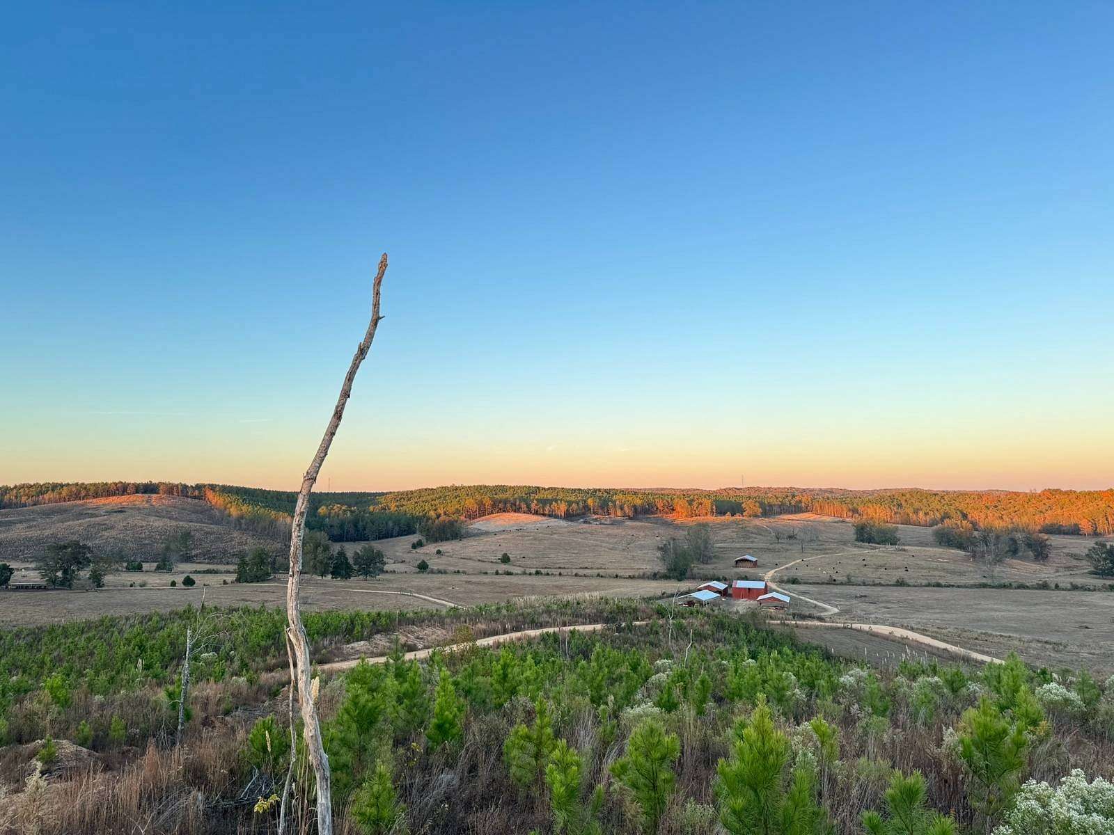 4.5 Acres of Land for Sale in Winfield, Alabama