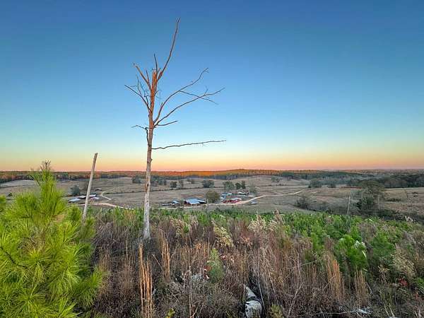 4 Acres of Land for Sale in Winfield, Alabama