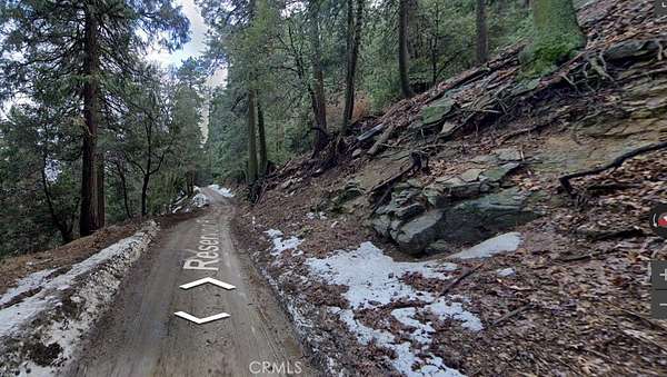 0.06 Acres of Residential Land for Sale in Cedarpines Park, California