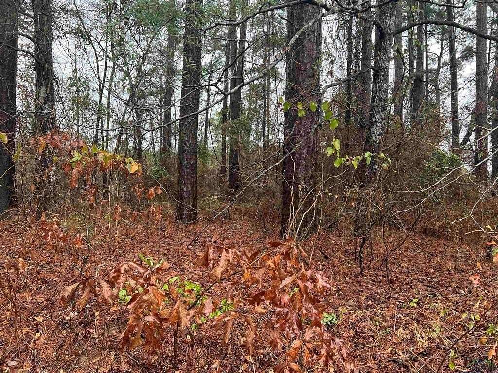 0.13 Acres of Land for Sale in Jefferson, Texas