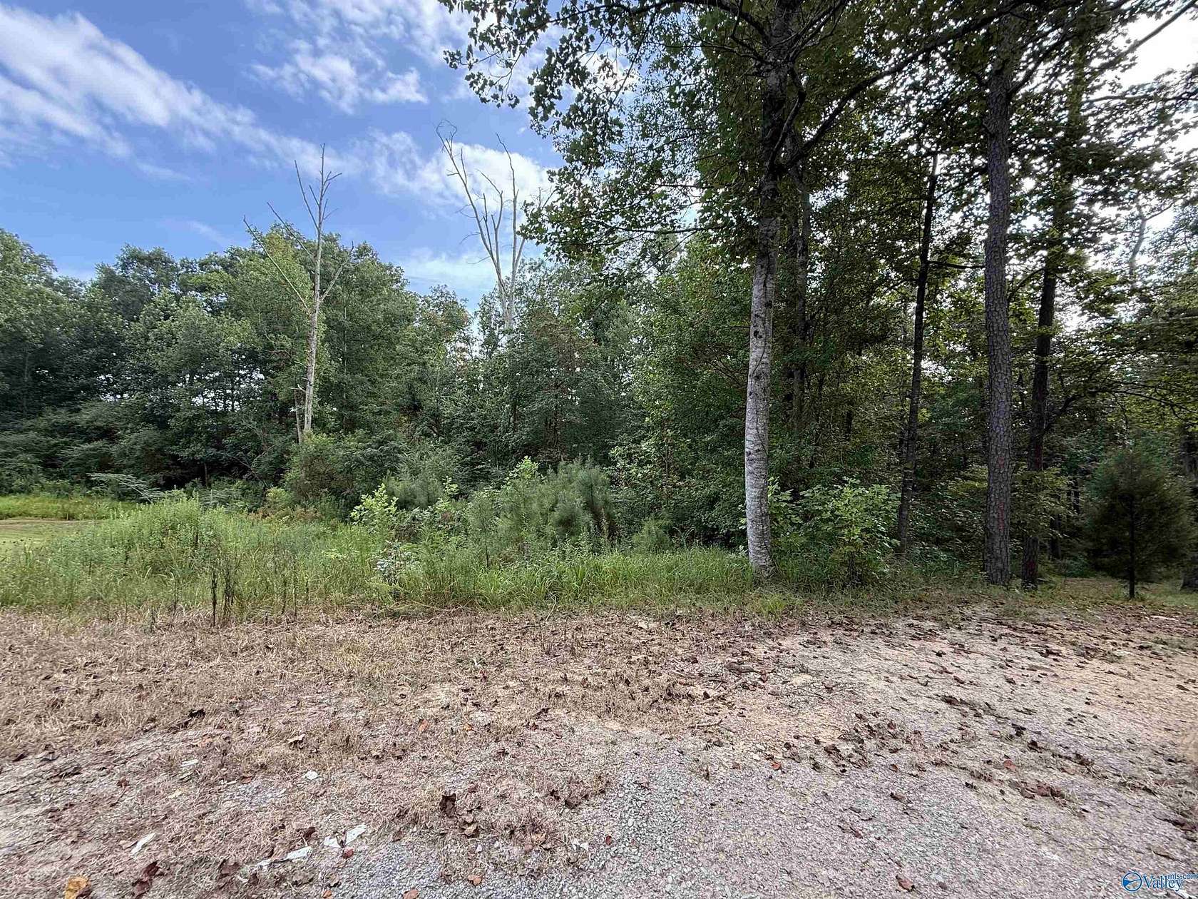0.66 Acres of Residential Land for Sale in Cullman, Alabama