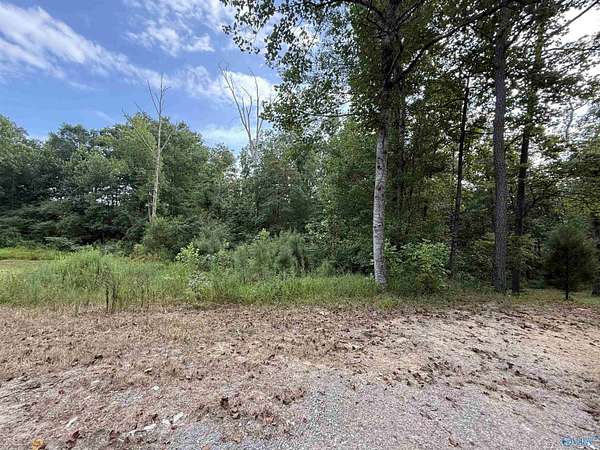 0.66 Acres of Residential Land for Sale in Cullman, Alabama